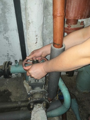 ������������ ����� �������